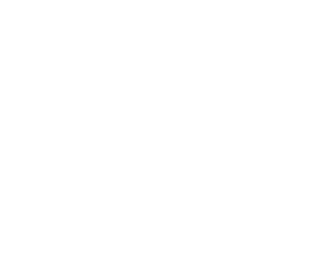 AFIS official logo